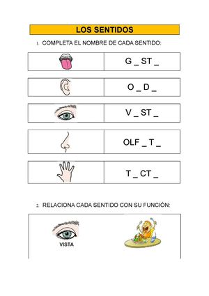 Ficha sentidos infantil