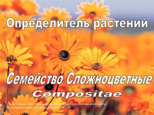 Определитель растений семейства Сложноцветные