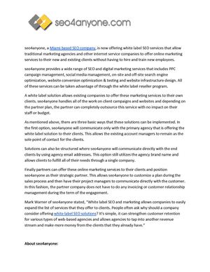 seo4anyone Now Offering White Label SEO Reseller Solutions