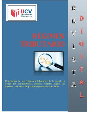 Regimen Tributario 2013