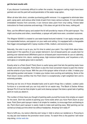 Paint Zoom Sprayer Review