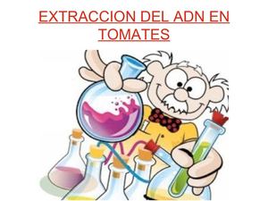 Extracción de ADN vegetal (Andrés Rodríguez Raimúndez)