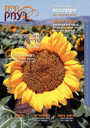 חיים בעמק - גיליון יוני 2013