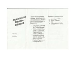 ORGANIZACIÓN FORMAL E INFORMAL