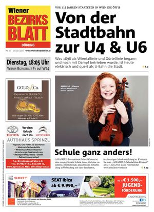 WBB 16/2013 19. Bezirk 