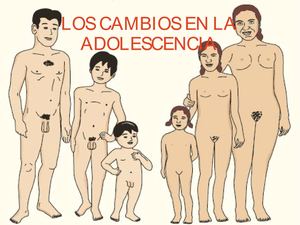 Los cambios en la adolescencia (por Paula Galán)