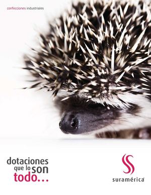Catalogo Suramerica