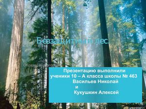 Беззащитный лес