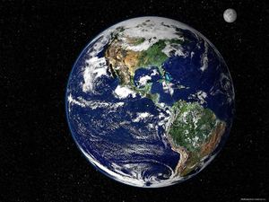 Загрязнение почвы