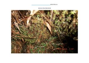 ALBUM DIGITAL PARTE 3