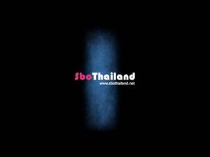 SBOBET SBO leader of Thailand's best online free bonus