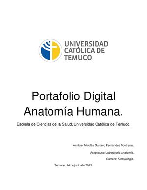 Portafolio Digital, Anatomía Humana.