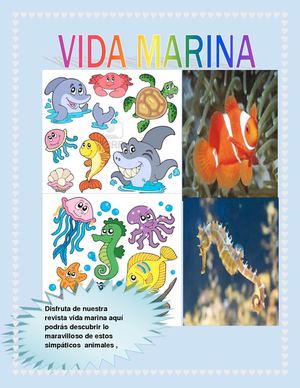 vida marina