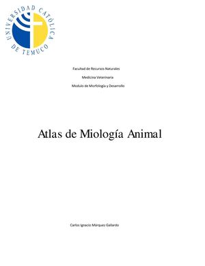 Atlas Miologia Animal