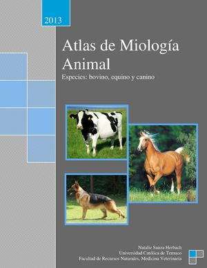 Atlas de Miología Animal