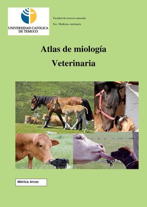Atlas de miología veterinaria