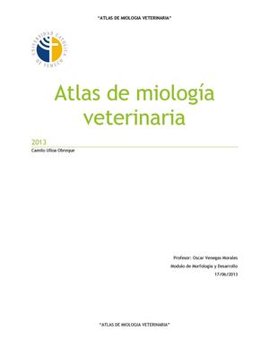 Atlas de miología