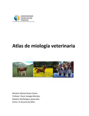 Atlas miología veterinaria