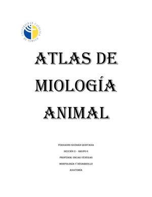 Atlas miologia animal