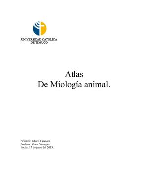 Atlas de Miología animal (bovino, equino, canino)