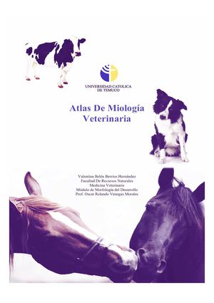Atlas de Miologia Veterinaria
