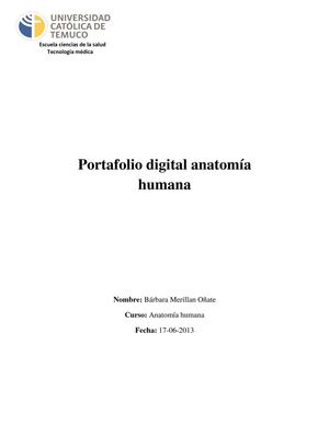 Portafolio digital anatomía humana - Bárbara Merillán 