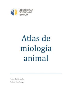 Miologia veterinaria 
