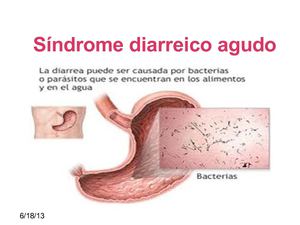 enfermedades gastrointestinales