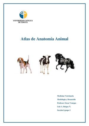 Atlas de Anatomía Animal