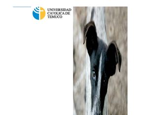 Atlas de miología. Animales domésticos