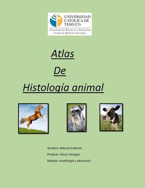 Atlas de miología animal