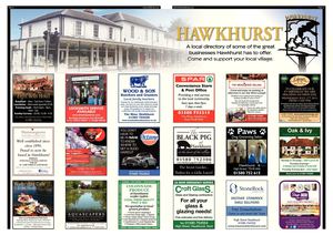 Hawkhurst Feature - 1597
