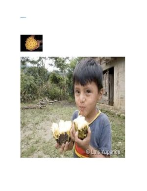 La anona fruta de la Selva