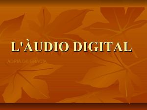 L'audio digital adri