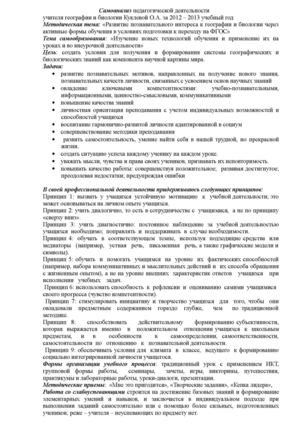 самоанализ педагогической деятельности за 2012-2013 уч.год