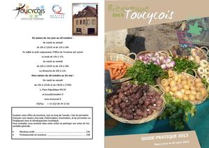 Guide pratique - 2013