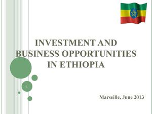 INVESTMENT AND BUSINESS OPPORTUNITIES IN ETHIOPIA