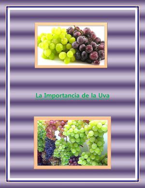 los beneficios de la uva