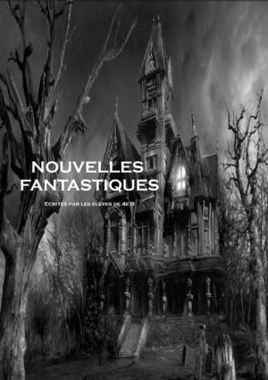 Nouvelles fantastiques : écrites par les élèves de 4e B