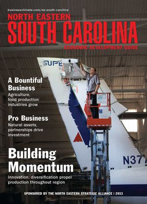 North Eastern South Carolina Economic Development Guide 2013