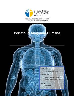 Portafolio Anatomía - Claudia Ulloa - Fonoaudiología