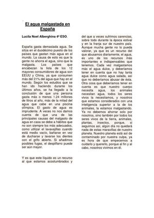 El malgasto del agua en España[1].doc definitivo