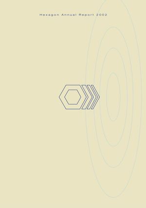 Hexagon Annual Report 2002