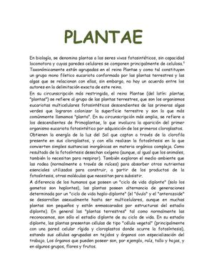 plantae