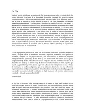 La flor