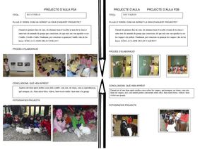 Projectes de l'escola