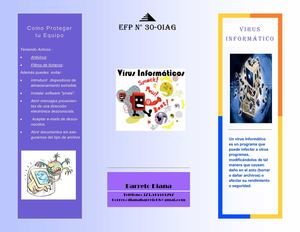 Boletín Informativo-Los Virus Informáticos