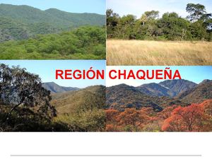 Resúmen Chaco