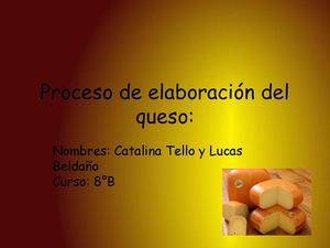 Proceso elaboracion queso