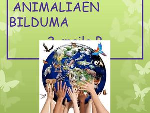 ANIMALIEN BILDUMA 2. maila B